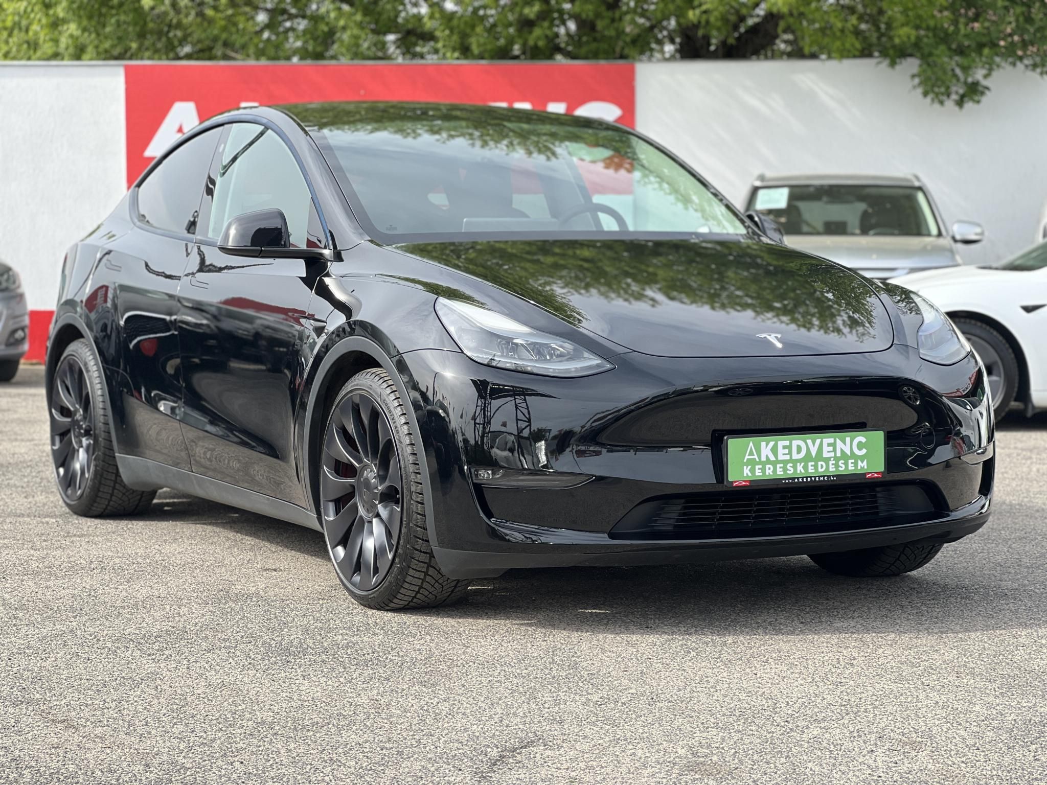 TESLA MODEL Y Performance AWD (Automata)